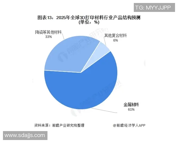 广州羽毛球队的控制策略与发展趋势深度解析