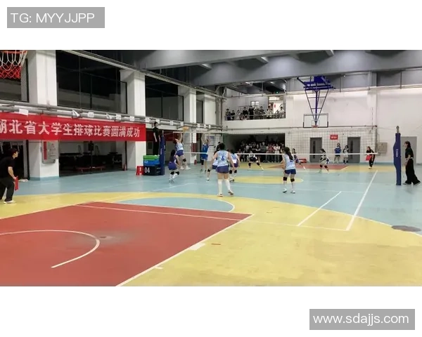 武汉排球队逆袭之路：从低谷到巅峰的杯赛传奇故事