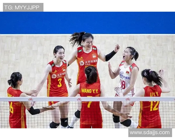 北京排球队精英赛战术分析与表现评估探讨